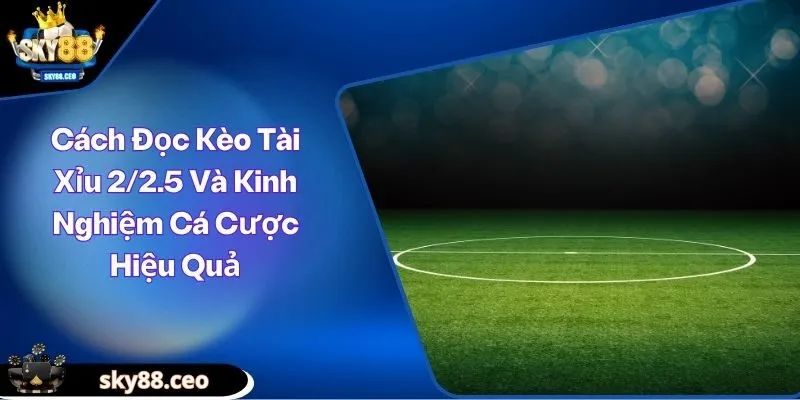tài xỉu 2/2.5